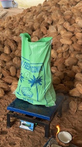 มะพร้าวกึ่งเปลือกสดจากอินเดีย L - Product Image 2