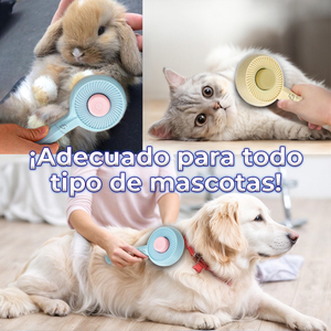Spazzola Magica Ricaricabile per Gatti, Dimensioni Personalizzabili, in Materiale ABS Sicuro e Acciaio Inossidabile, Strumento Essenziale per la Toelettatura - Product Image 3