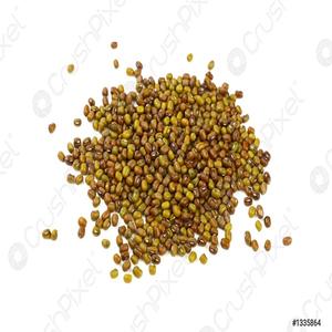 Acheter des haricots mungo pas cher en ligne Haricots mungo de qualité supérieure à vendre - Product Image 6