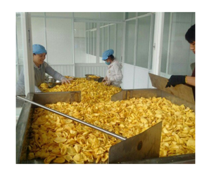 Fábrica OEM de patatas fritas de Jaca secas de Vietnam, suministro a granel al por mayor, aperitivos dulces crujientes naturales, Exportación lista para el mercado global - Product Image 2
