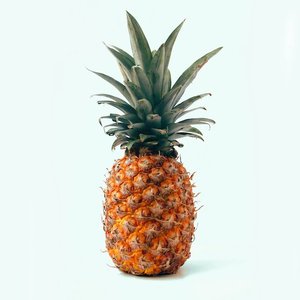 Vietnamese Natural <b>Fresh</b> Sweet <b>Pineapples</b> in Bulk Direct Supplies From Vietnam - Product Image 6