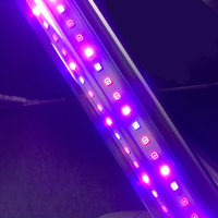 7Magic T8 T5 Pure UV UVA UVB IR LED lampe de croissance