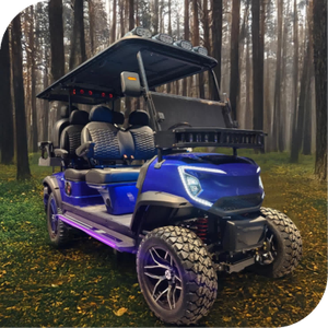 Transport City Petite télécommande 3500W Unique Luxury 6 Seater Mini voiturette de golf électrique - Product Image 5