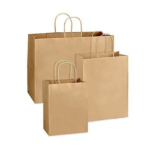 Bolsas de papel de mango trenzado, con los precios ya disponibles, Material de calidad de producto excelente disponible en tamaños personalizados