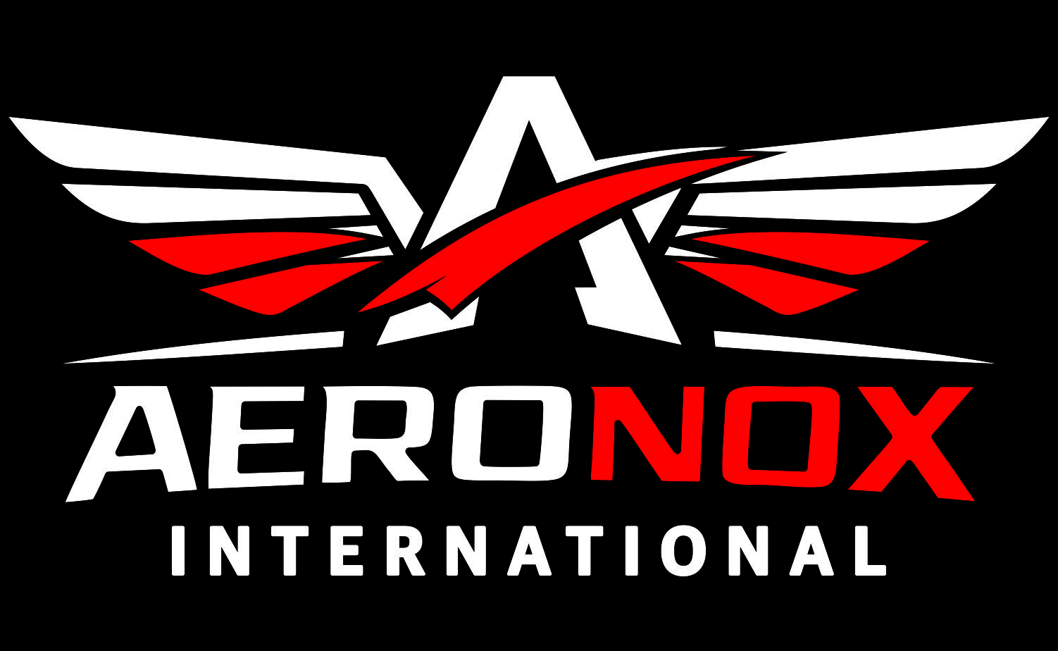 AERONOX INTERNATIONAL logo