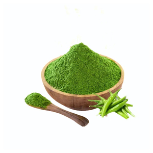 Herbojit International, Polvo de Chile Verde Secado por Aspersión de Súper Calidad, Hecho en India, Mejor Oferta, Aditivo Alimentario Saludable - Product Image 1