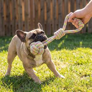 Jouet pour chien en chanvre arc-en-ciel Monkey Fist Tug pour des jeux actifs des chiens - Product Image 2