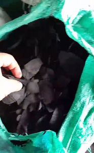 Haute Qualité Coquille De Noix De Coco Noir Charbon Humidité <15% Faible Cendres Faible Volatile-FOB Indonésie Exportation - Product Image 2