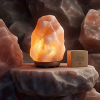 Lampe de sel de l'Himalaya naturelle géante, écologique et faite à la main, pour décoration intérieure, avec motifs Croix, Animal, Fleur, Amour, emballage personnalisé 40-200 kg