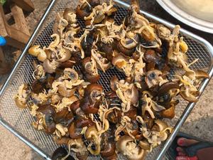 Organic Dried Snail Meat from Cameroon For Soup Stew & Export bulk dried snails for sale large dried African snail meat - Product Image 4
