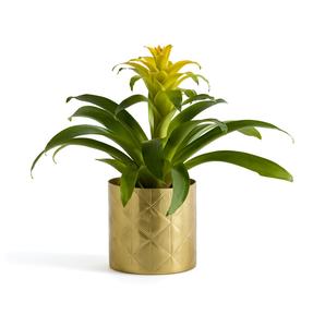 Macetas y Jardineras de Latón Estilo Vintage Proveedor Mayorista Artesanías Indias Florero para Jardín Decorativo - Product Image 1