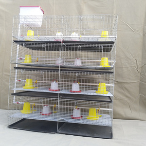 Gabbia di nidificazione per pulcini 3 o 4 livelli 2 porte da 90 a 320 per gabbia utilizzata per l'allevamento di piccoli polli - Product Image 3