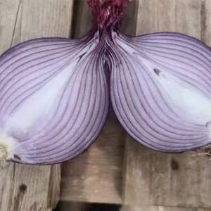 Fresh Product Supply BRC Certification IQF Frozen Vegetable Onion <b>Dice</b> - Product Image 3