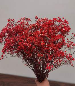 Bouquet de 5 bâtons naturel préservé souffle de bébé gypsophile accessoires fleurs blanches coureurs rangées de fleurs décor de mariage et d'événement - Product Image 3