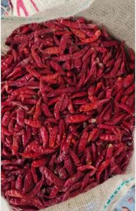 Tự Nhiên Chất Lượng Cao Toàn Bộ Hình Màu Đỏ Ớt Ấn Độ Nhà Cung Cấp Cho Hương Thơm Và Flavour Enhancer Ớt Đỏ ở Mức Giá Thấp - Product Image 2