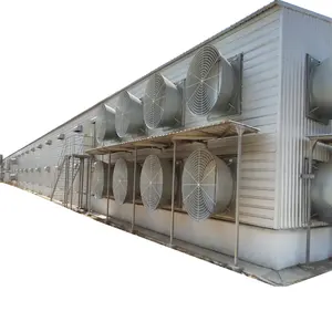 La grande gabbia moderna del pollaio dell'azienda agricola di poltry del metallo esegue i disegni economici del pollaio per 10000 polli