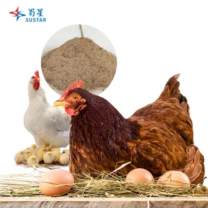 Alimentador de aves para aves certificado iso/gmp, nutrientes para camadas melhora o desempenho de produção de ovos, binário elementos para camadas, FAMI-QS/iso/gmp