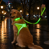 Ensemble de promenade extérieur Qcool : Harnais réfléchissant lumineux, collier et laisse – Kit de voyage pour animaux de compagnie – Fournisseur personnalisé d'accessoires pour animaux