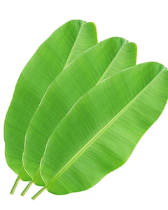 ใบกล้วยสดแช่แข็งขายส่งสำหรับบรรจุภัณฑ์อาหารเอเชียและการนึ่ง - Product Image 6