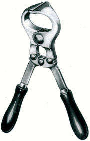 Nuevo instrumento veterinario, castrador sin sangre, mejor calidad, precio al por mayor, castrador Burdizzo de acero inoxidable - Product Image 5