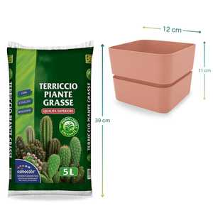 Set da giardino per piante grasse di Cactus per giardino vecchio Kit di piante succulente rosa/Denim/Curry con 3 vasi da 12x11cm - Product Image 2