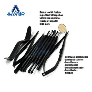 Kit de Microcirugía Oral de 10 Piezas, Instrumentos Dentales CE de Alta Calidad, Instrumentos Quirúrgicos Amrid - Product Image 2