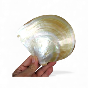 Plat artisanal en nacre pour la décoration de table de luxe, le service de desserts et le rangement de bijoux, en provenance du Vietnam - Product Image 6