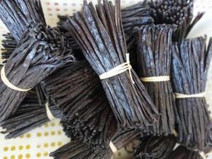 ถั่ววานิลลาออร์แกนิก ดีพี ซีลอน พลานิโฟเลีย ประเทศไทย |   ฝักแห้งขนาด 15 ซม. น้ำหนัก 1 กก. ขายส่ง วัตถุดิบรสชาติธรรมชาติสำหรับทำขนมหวาน - Product Image 4