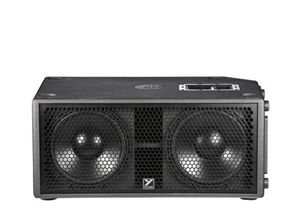 VENTAS CALIENTES PSA1S Paraline 2x Subwoofer Activo de 12 Pulgadas - Product Image 3