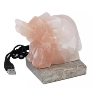 Himalayan Salt Elephant Design Mini USB Night Lamp High Quality Natural 100% Pure Original Salt Whole Sale from Pakistan