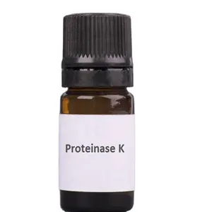 Proteinase CAS 39450-01-6 Provide High Quality Research Reagent Specific Reagents DNA Extraction Reagent Proteinase K Solution Servicebio