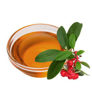 AARNAV GLOBAL EXPORTS Huile Essentielle de Wintergreen Certifiée GMP 100% Pure Hydratante Anti-rides Raffermissante Éclaircissante - Product Image 1