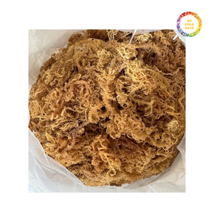 มอสทะเลไอริชแห้งจำนวนมากจากแคริบเบียนมีสารอาหารที่แข็งแกร่งและราคาไม่แพงสำหรับการส่งออก - Product Image 6