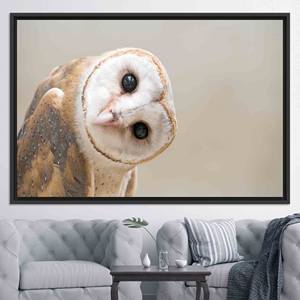 Tableau sur toile imprimé élégant avec hibou - Décoration murale plate de haute qualité, toile encadrée noire - Product Image 1