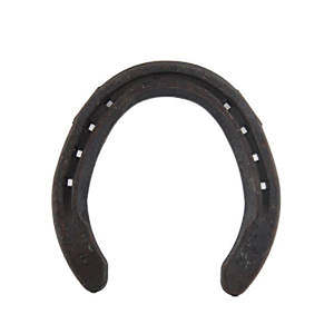 กีบม้าสเตนเลสสำหรับแข่งม้าใช้เป็นม็อค10คู่ - Product Image 3