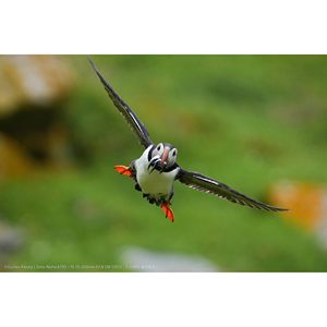 Used 26MP AI-Powered APS-C Mirrorless <b>Camera</b> with 16-50mm Lens 4K 120p Video 5-Axis Image <b>Stabilization</b> Vari-Angle 16-50mm Lens - Product Image 5