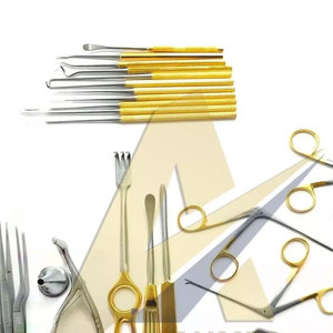 Bonne vente Instruments de tympanoplastie de la plus haute qualité ensemble de 30 pièces Micro chirurgie de l'oreille par SUAVE INSTRUMENTS CHIRURGICAUX - Product Image 3