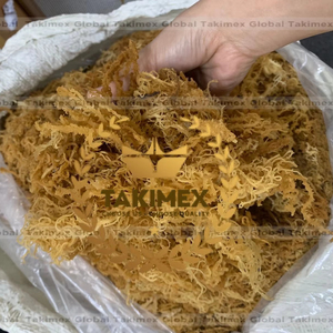 Mousses d'Irlande 100% naturelles de haute qualité en provenance du Vietnam - Product Image 1
