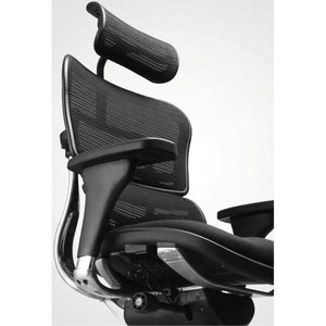 Silla Ergohuman Contemporánea con Diseño Moderno y Elevación Ajustable, Madera, Hierro, Aluminio, Malla, Espuma, Tela, Barniz - Product Image 2