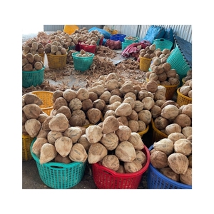 VENTE CHAUDE Noix de coco mûre de qualité pristine pour une cuisine asiatique authentique et un ingrédient essentiel pour les produits de soin de la peau biologiques - Product Image 4