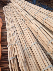 สินค้าเกษตรหวายเวียดนามสำหรับใช้เป็นวัตถุดิบจากหวาย - Product Image 6