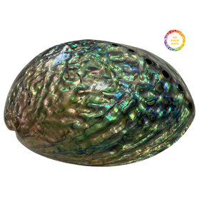 Concha de Abulón Azul Pulida de Color Natural para Incrustaciones de Joyería Artesanal y Aplicaciones Decorativas - Product Image 5