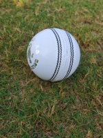 Nouvelles balles de cricket en cuir de qualité supérieure, cousues à la machine, 2 pièces
