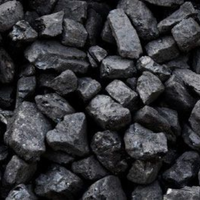 Charbon de bois Halaban en blocs d'Indonésie, bois dur naturel, chaleur stable, faible fumée, pour barbecue et chicha, export