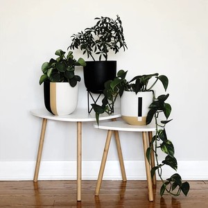 Juego de Macetas de Cerámica con Diseño de Arco Moderno, Duradero, Decorativo para Interiores, Elegante Adorno para el Hogar - Product Image 6