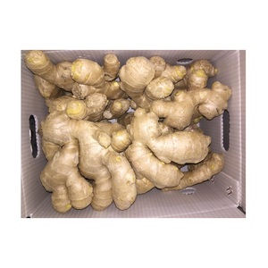 Jengibre fresco orgánico natural de la mejor calidad a precio de oferta / jengibre fresco de nueva cosecha - Product Image 6