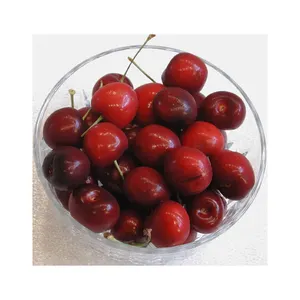 Wholesale Fresh Natural Hot selling top Fresh Cherry 100 % organic Matured Quality