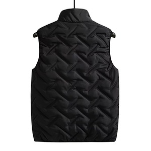 Men's Outdoor Warm Vest Casual Lightweight Quilted Sleeveless Jacket Stand Collar <b>Padded</b> Skinny Coat Vest - Product Image 2