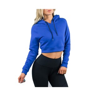 Sweat-shirt à capuche court bleu pour femme, coupe régulière, couleur unie, manches longues, tricoté, pour l'automne - Product Image 2