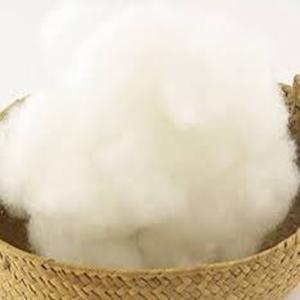 Fibre de coton brut de qualité supérieure disponible à des prix compétitifs - Product Image 6